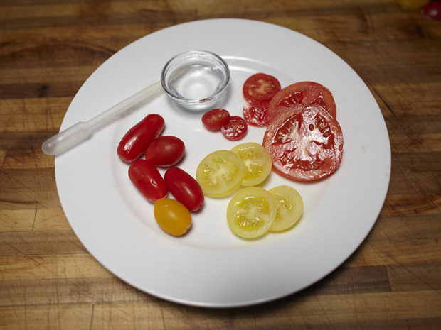 Burger- tomato heirloom/ rainbow tomatoes with pipette