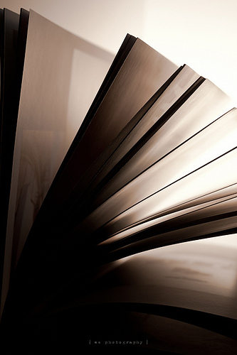 day 13 | books light falling through a book's pages