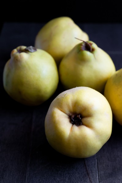 Moody Light with Black Absorber