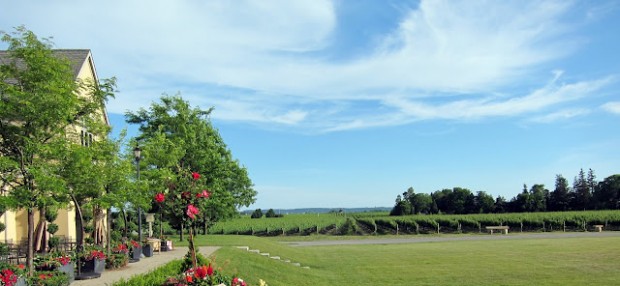 Peller estates winery