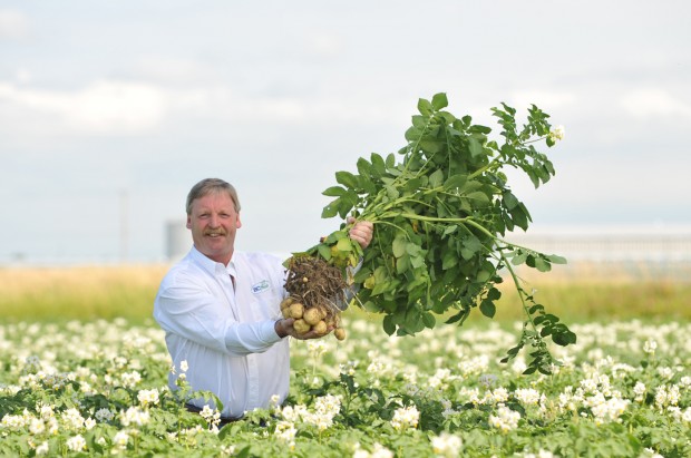 BCfresh potato grower