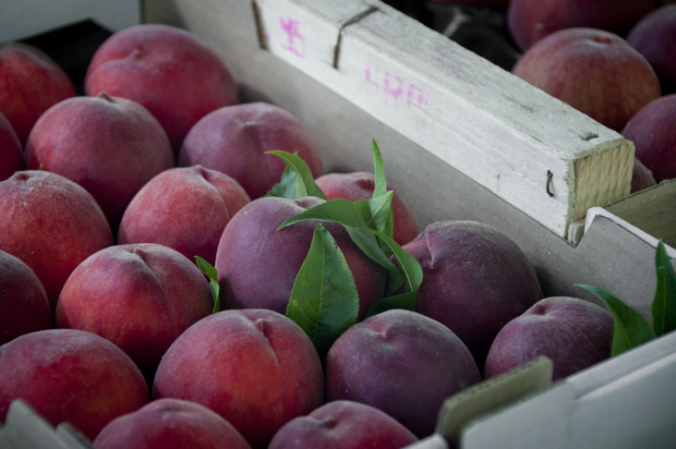 Peaches at the market in Nerac