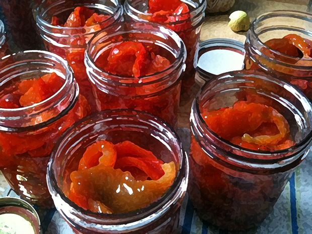 Urban Food Preserver