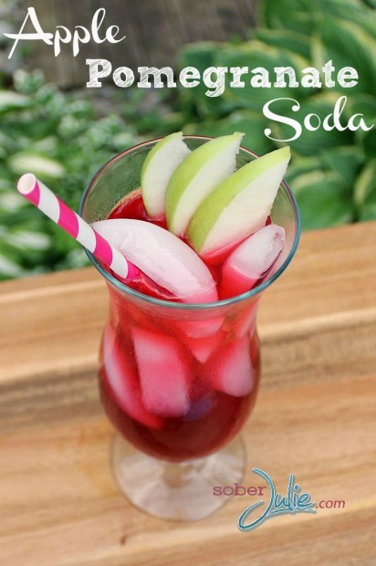 Apple-pomegranate-soda-top-view-WM