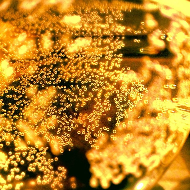 "Cheers" from Nutmeg Disrupted, as seen in the FBC Flickr group. Want to see your photo here? Then join us!