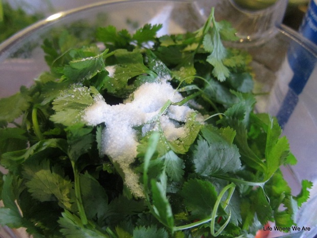 Abuelitas_Homemade_Salsa_Hamel