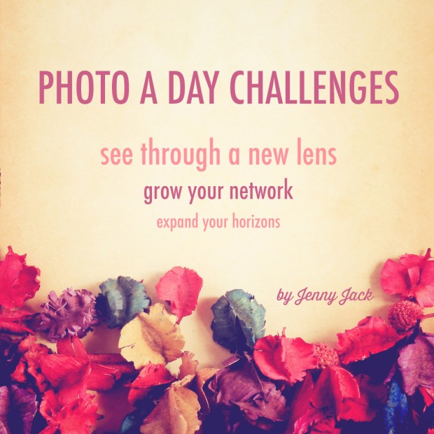 photo a day challenges | www.foodbloggersofcanada.com