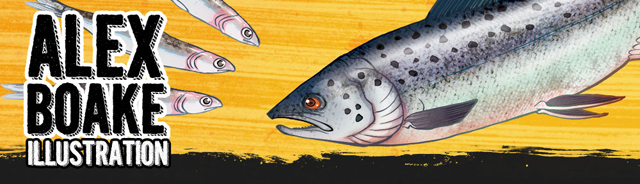 FBC Featured Member Blog - Alex Boake