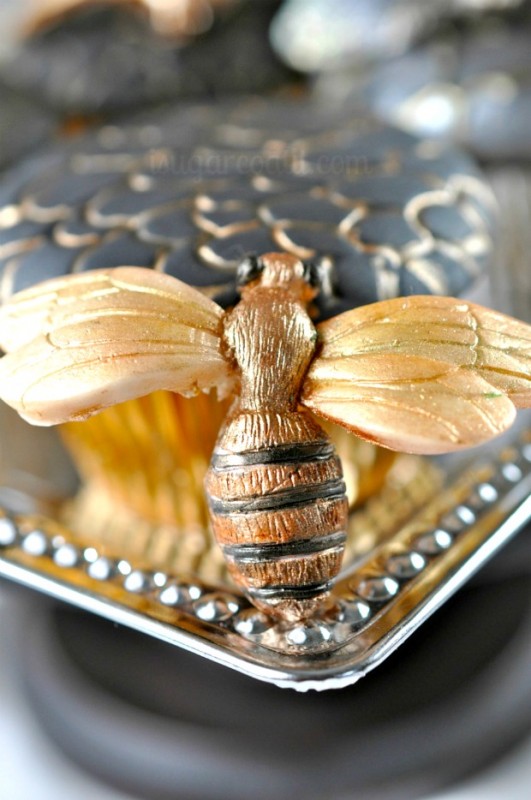 FBC Featured Blogger - I Sugar Coat It