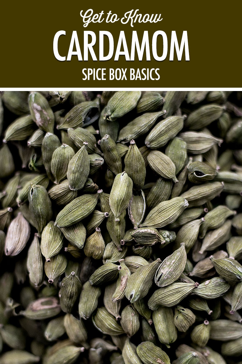 Get to Know Cardamom | Food Bloggers of Canada