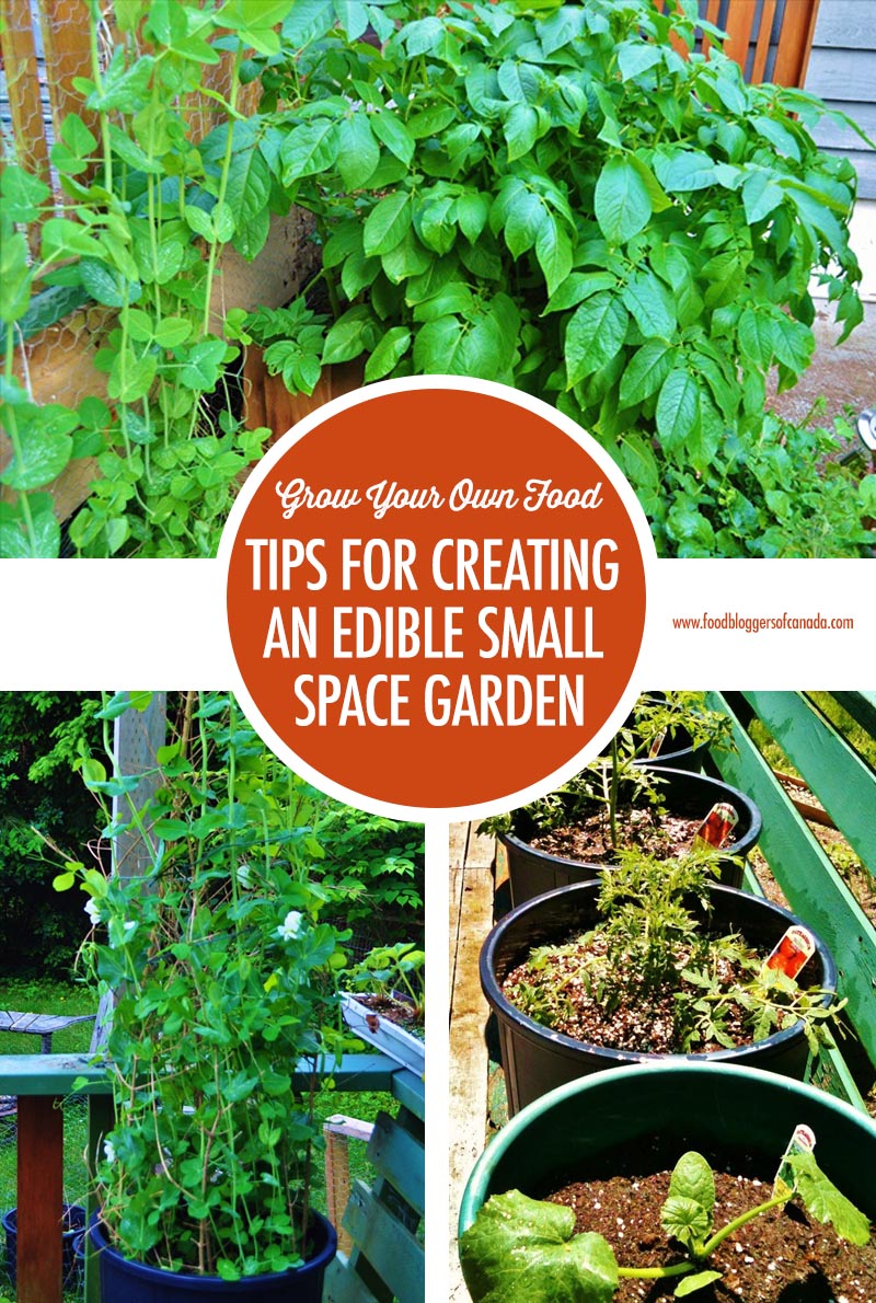 Tips For Creating An Edible Small Space Garden | Food Bloggers of Canada