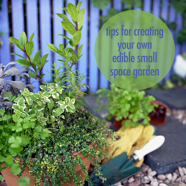 Tips For Creating Your Own Edible Small Space Garden | FBC