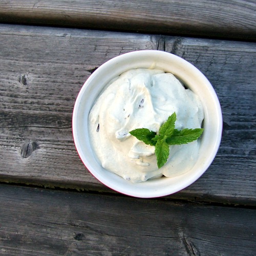 Mint Chip Ice Cream 2