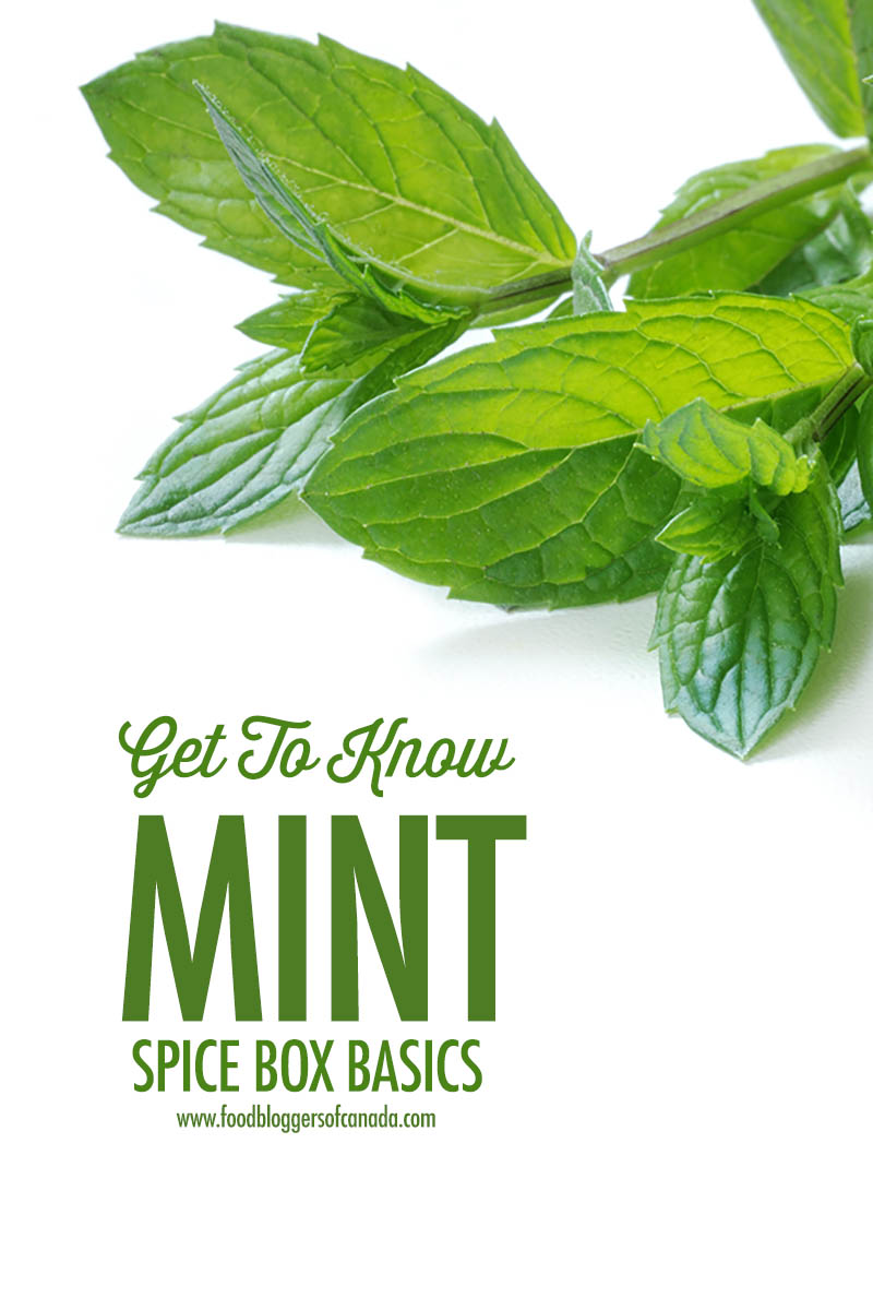 Get to Know MInt - Spice Box Basics | Food Bloggers of Canada