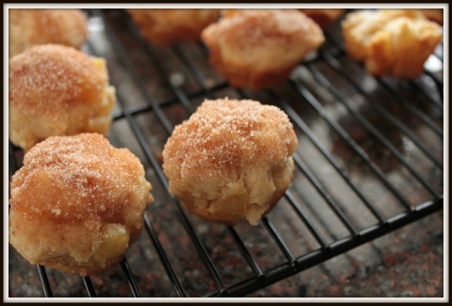 FBC Apple Recipe Roundup Pt 4 | Food Bloggers of Canada