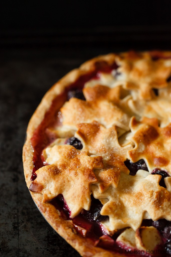 FBC Apple Recipe Roundup Pt 4 | Food Bloggers of Canada