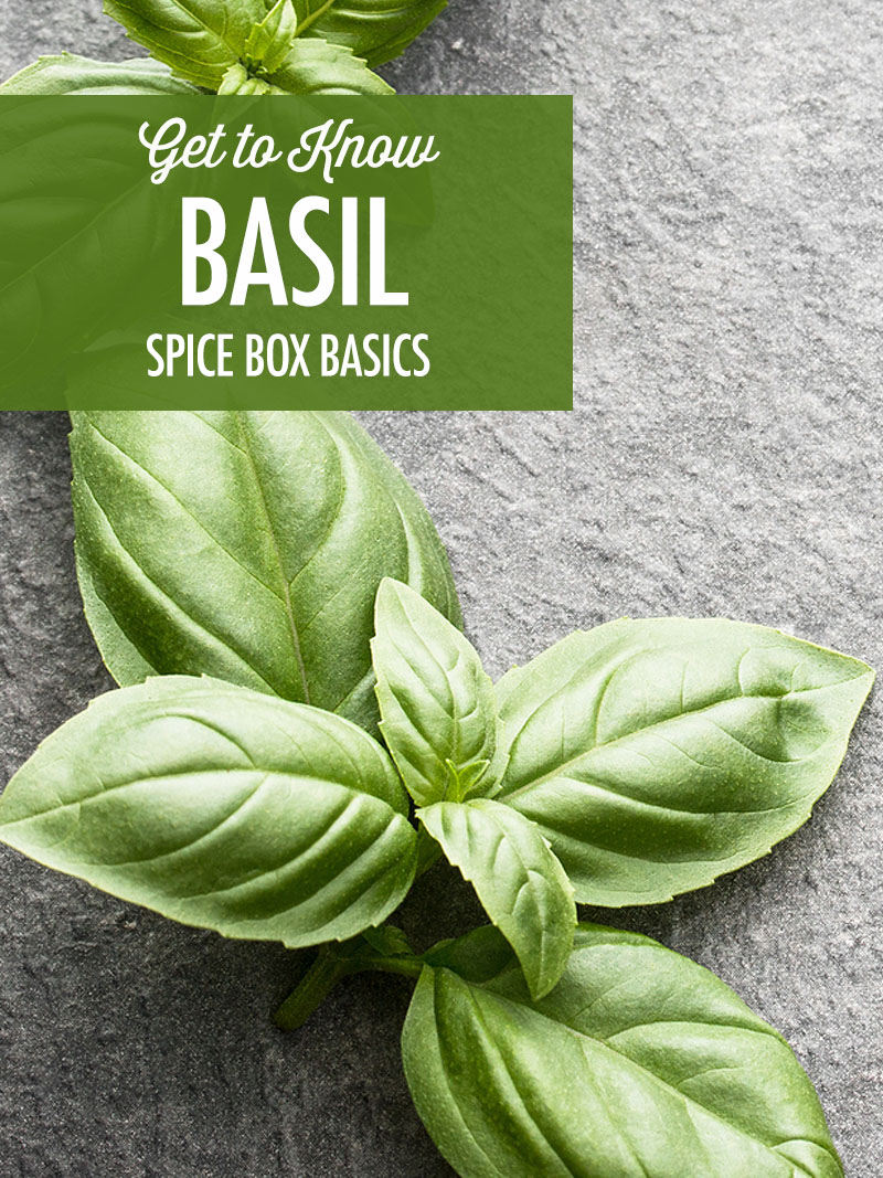 Get to Know Basil
