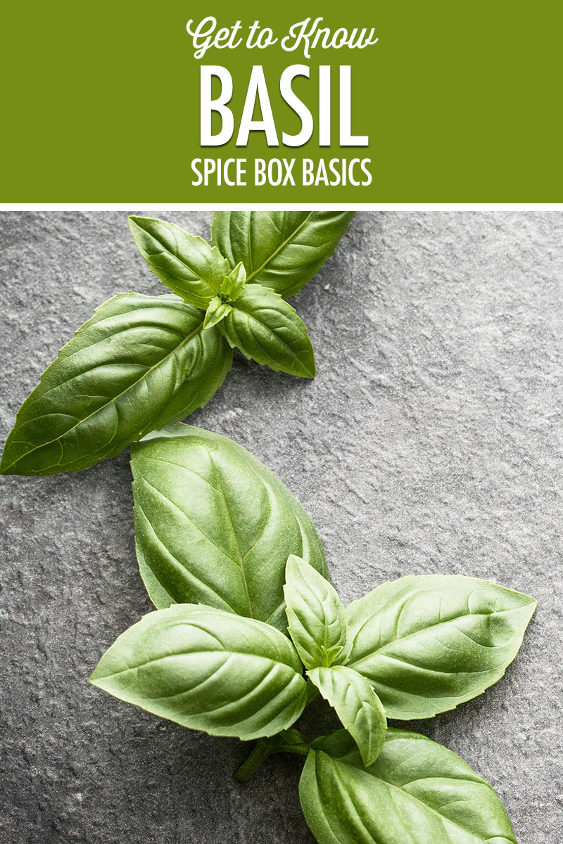Spice Box Basics: Basil