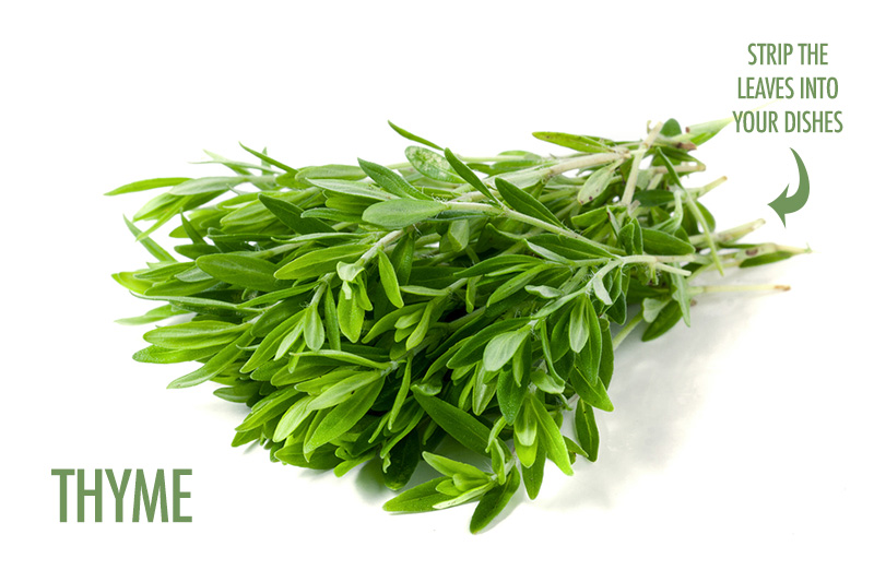 5 Herbs You Can Grow Indoors In Winter | Food Bloggers of Canada