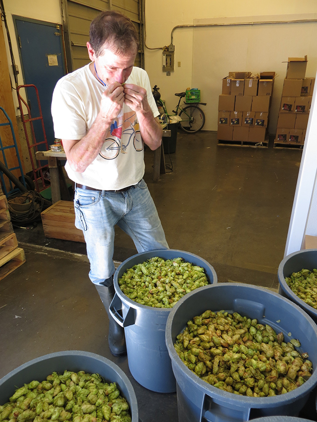 Canada's Craft Beer | Celebrate BC's Hop Harvest