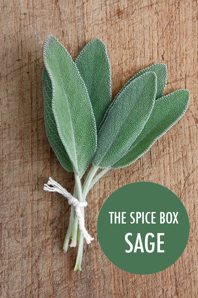 The Spice Box: Getting to Know Sage | Food Bloggers of Canada
