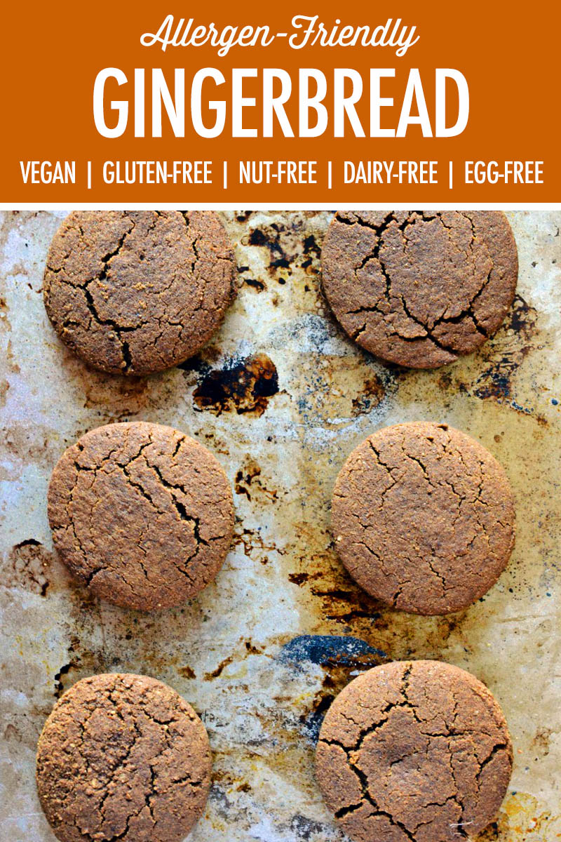 Vegan Gingerbread Cookies | Food Bloggers of Canada