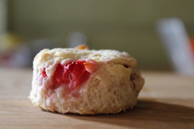 FBC Featured Member: Cocoa Bean the Vegetable