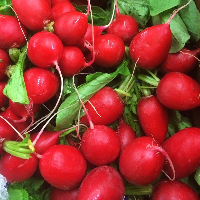 Radishes - FBC Weekly New Jan 26, 2015
