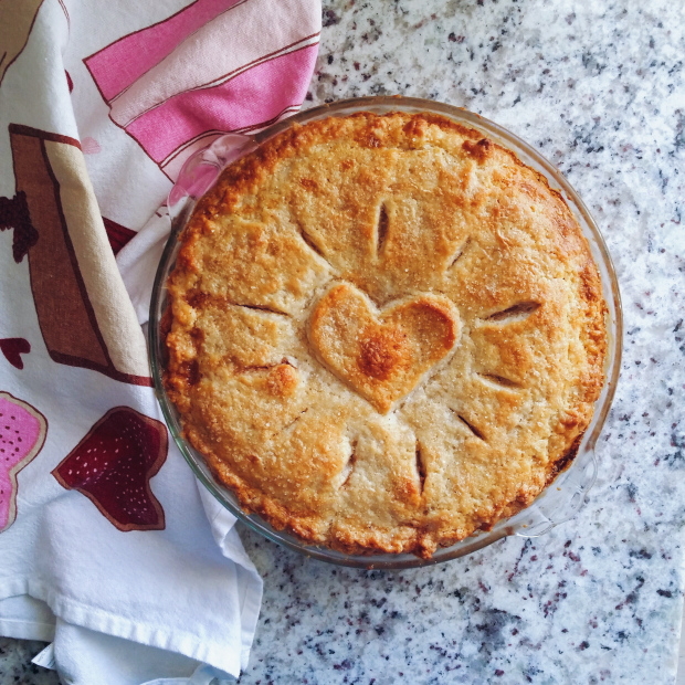 FBC Featured Member |  Haute Sucre