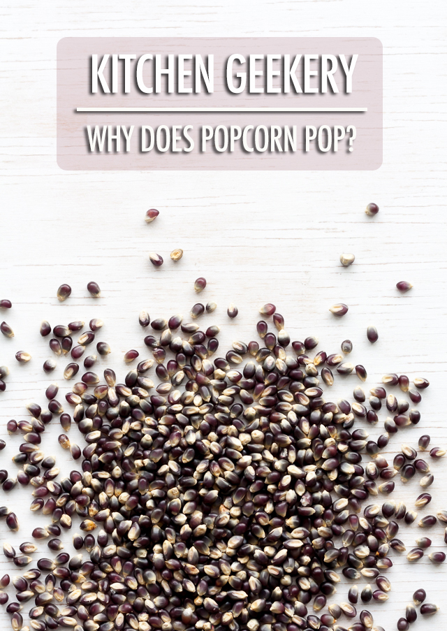 Kitchen Geekery - Why Does Popcorn Pop | Food Bloggers of Canada