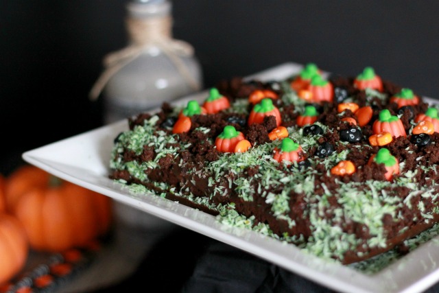 FBC Featured Member: Feeding My Addiction