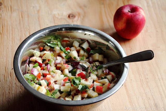 Winter de Gallo Apple Salsa | Food Bloggers of Canada