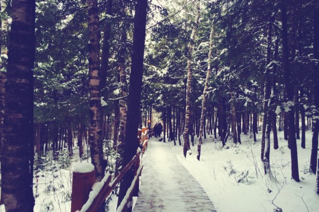 FBC Featured Member: Tellement Swell