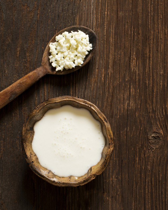 Food Trends TV: Kefir & Kombucha | Food Bloggers of Canada