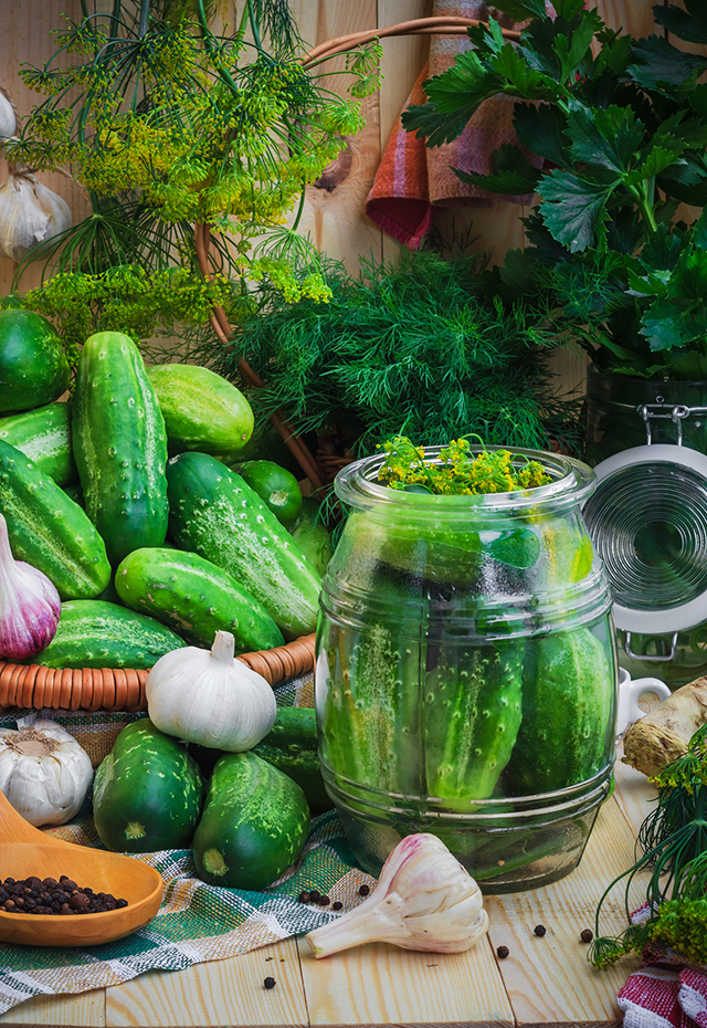 Getting To Know Dill | Food Bloggers of Canada