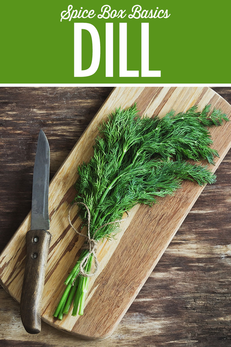 Spice Box Basics: Dill