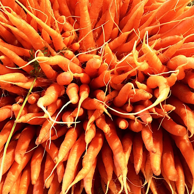 Half Your Plate | Easy Summer Meals