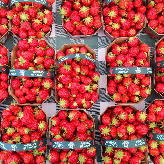 Half Your Plate | Easy Summer Meals