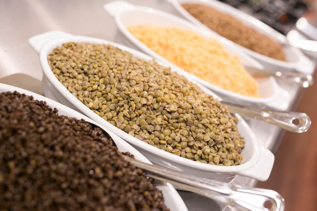 David Stobbe / Stobbephoto.ca