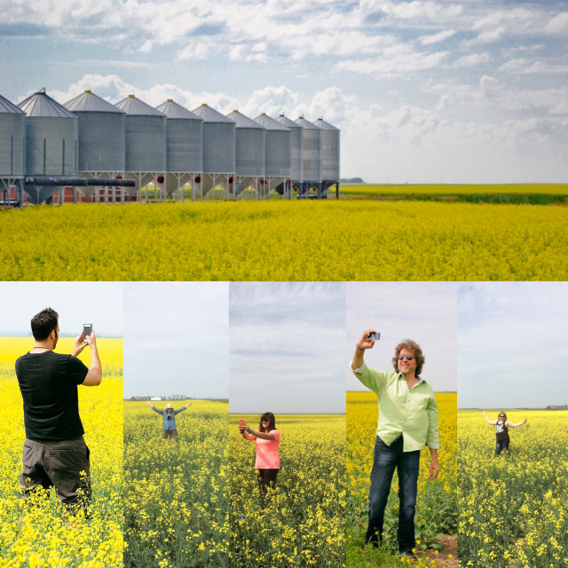 Love Lentils Collage