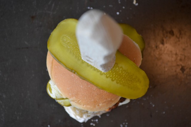 Overhead Burger with Bicks Pickle - highres