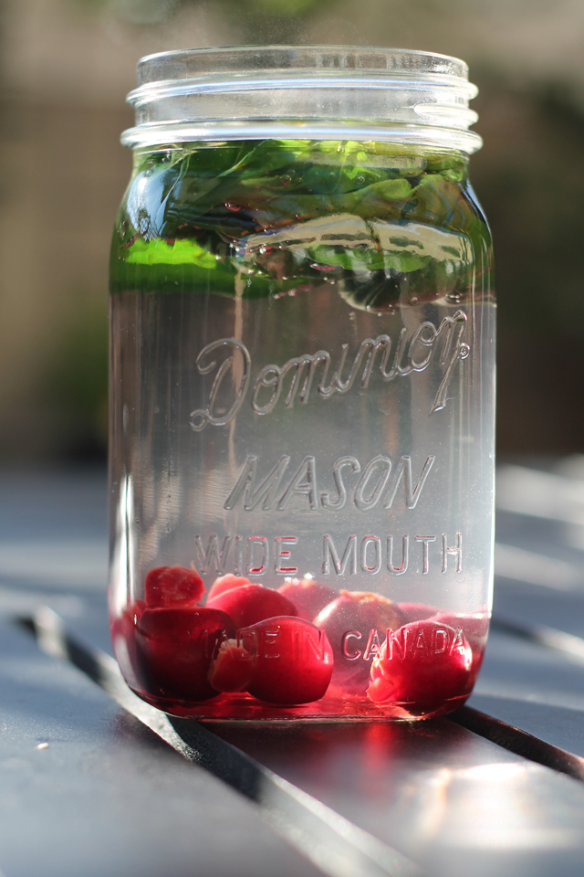 FBC Featured Member: The Primal Desire | Food Bloggers of Canada