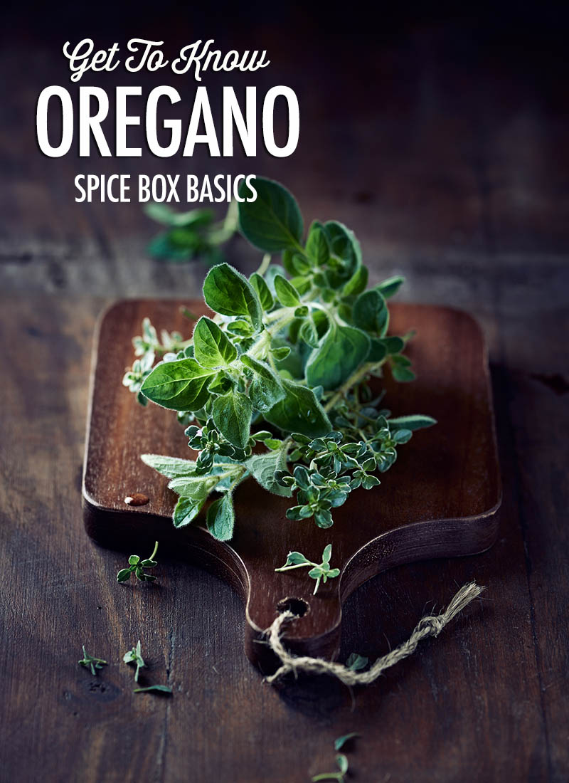 Get To Know Oregano | Food Bloggers of Canada