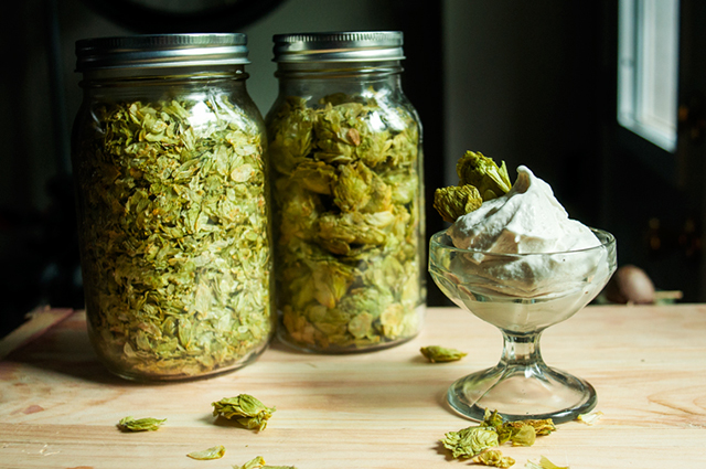 FBC Featured Member: Grim Grains