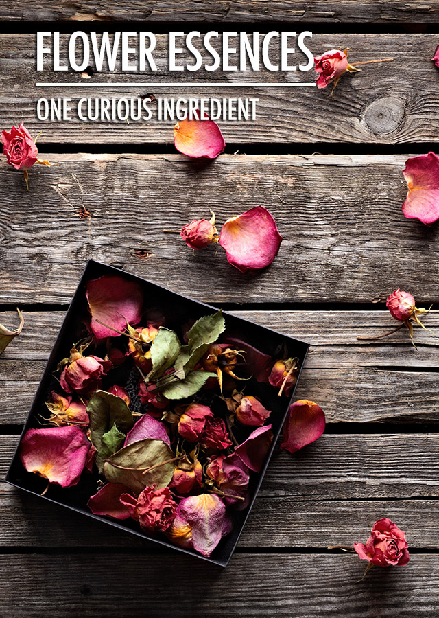 One Curious Ingredient: Flower Essences | Food Bloggers of Canada