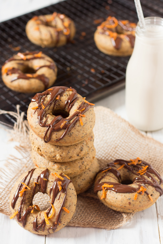 FBC Featured Member: Diary of an Ex-Sloth