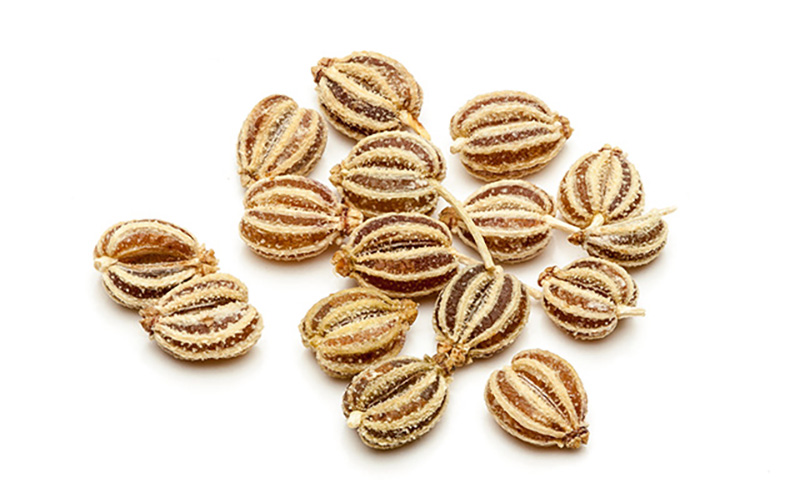 Ajwain or Carom Seeds