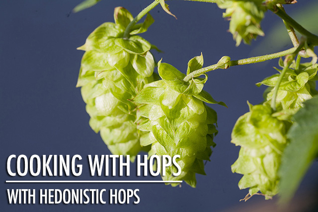 Your Guide to Cooking With Hops | Food Bloggers of Canada