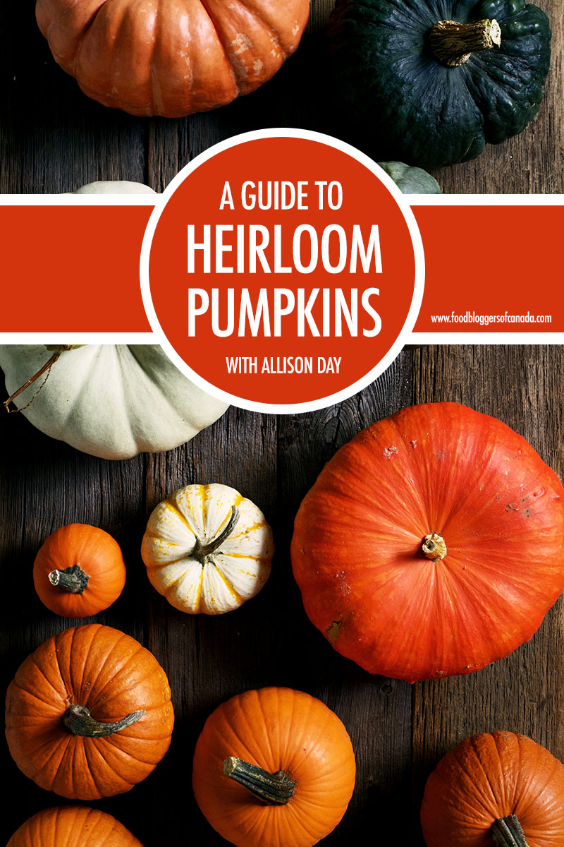 A Guide To Heirloom Pumpkins