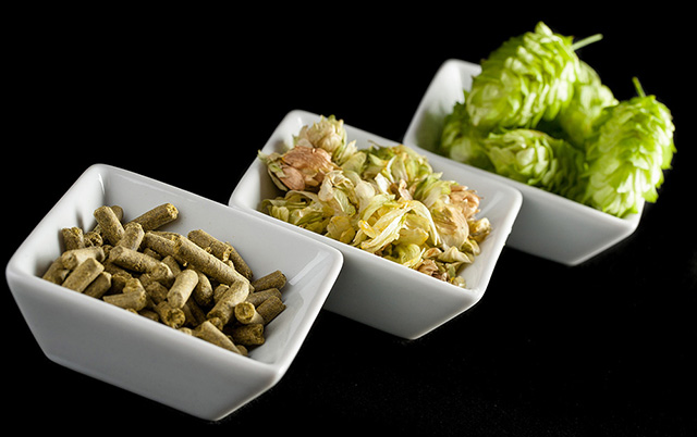 Your Guide to Cooking With Hops | Food Bloggers of Canada